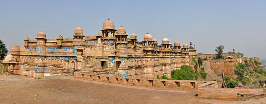 Taj and Tiger Tour