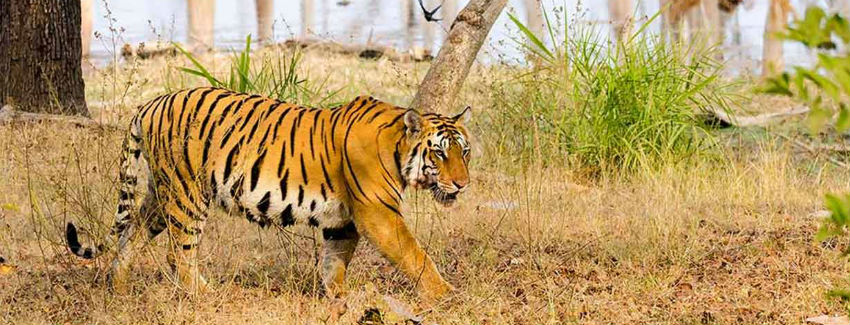 Highlights of Madhya Pradesh